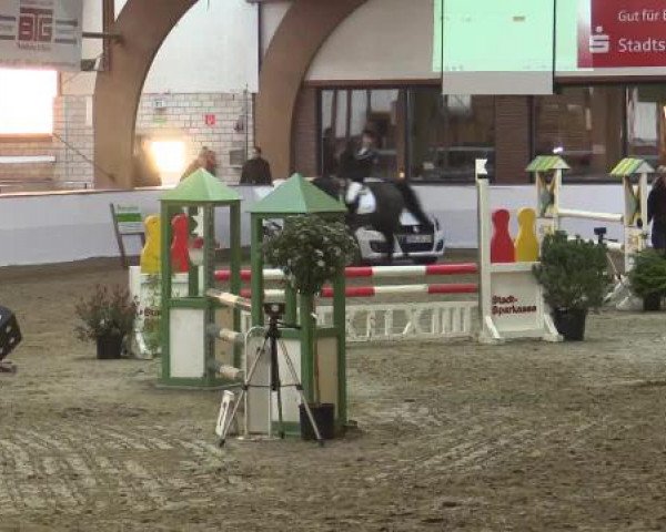 Hallenspringturnier Barlo Bocholt 2015