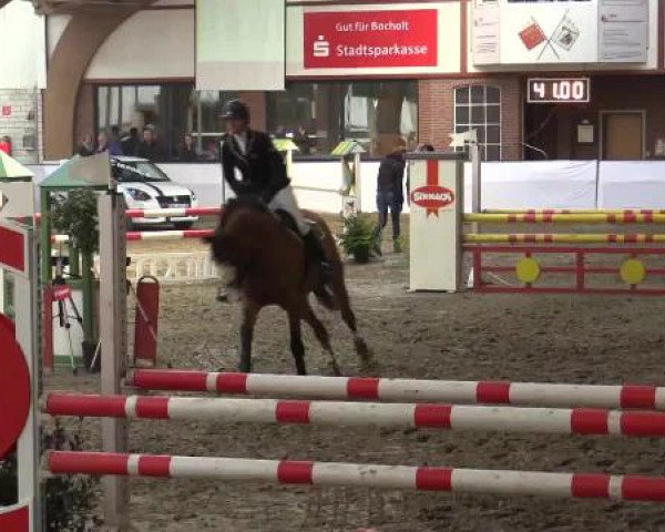 Hallenspringturnier Barlo Bocholt 2015