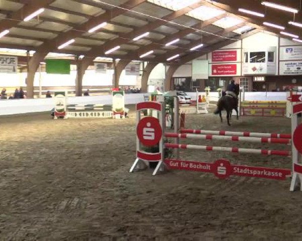 Hallenspringturnier Barlo Bocholt 2015