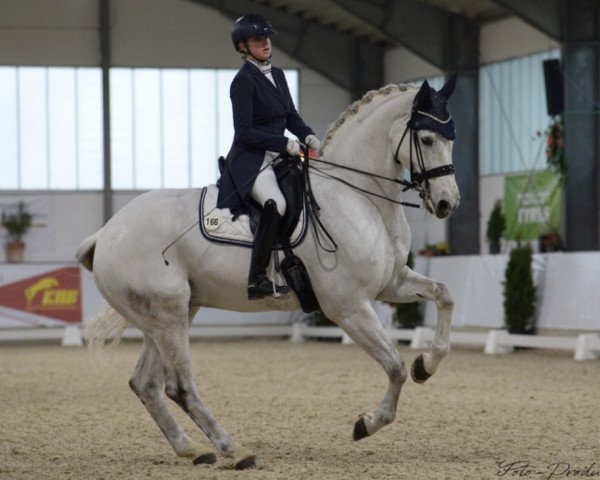 dressage horse Heartbreaker (Hanoverian, 2005, from His Highness)