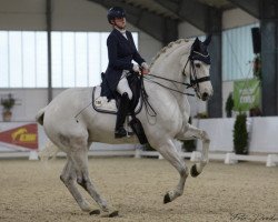 Dressurpferd Heartbreaker (Hannoveraner, 2005, von His Highness)
