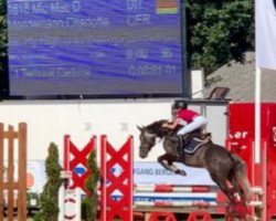 jumper Mic Mac D (German Riding Pony, 2014, from Mc Fly High D)