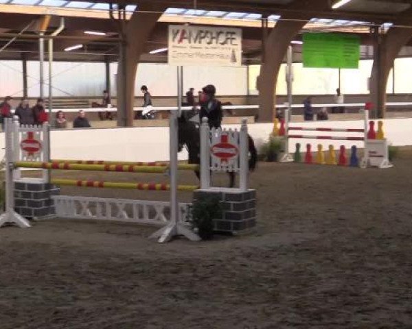 Hallenspringturnier Barlo Bocholt 2015