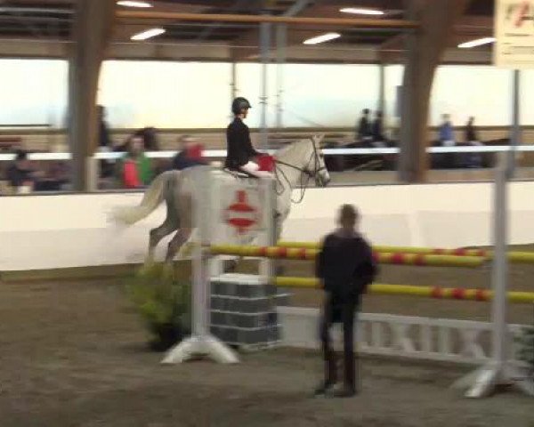 Hallenspringturnier Barlo Bocholt 2015