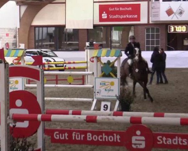 Hallenspringturnier Barlo Bocholt 2015