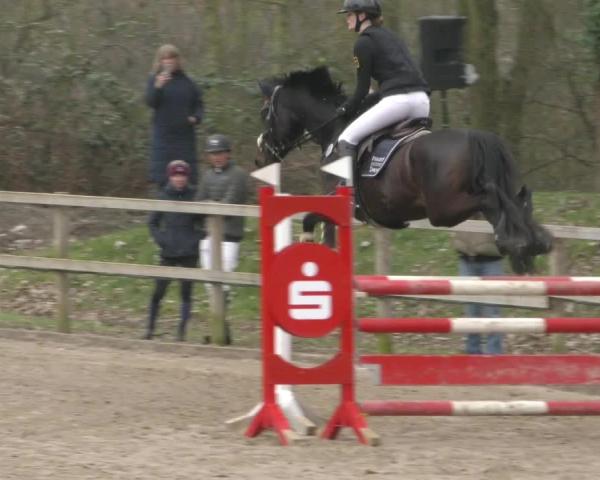 Reitturnier Hildesheim-Steuerwald 2026