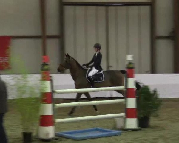 Hallenspringturnier Barlo Bocholt 2015