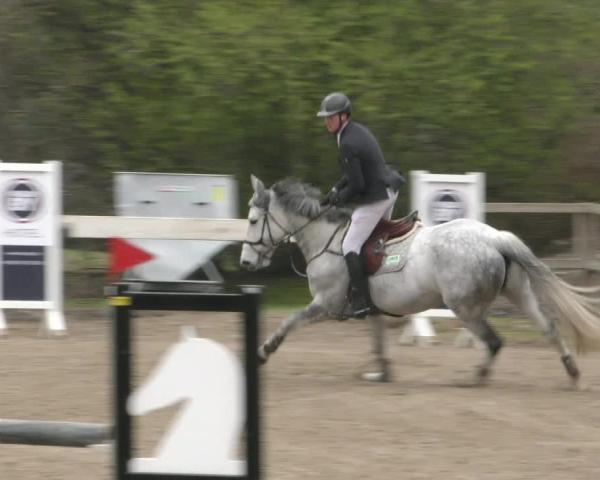 Reitturnier Hildesheim-Steuerwald 2026