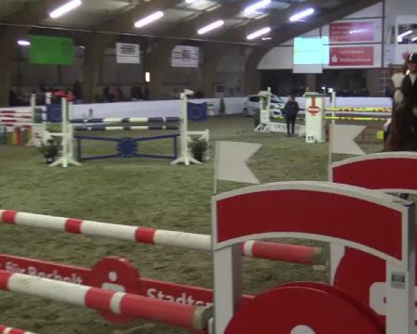 Hallenspringturnier Barlo Bocholt 2015