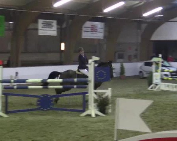 Hallenspringturnier Barlo Bocholt 2015