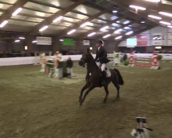 Hallenspringturnier Barlo Bocholt 2015