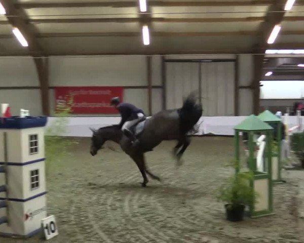 Hallenspringturnier Barlo Bocholt 2015