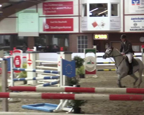 Hallenspringturnier Barlo Bocholt 2015