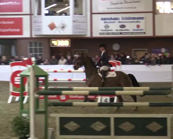 Hallenspringturnier Barlo Bocholt 2015