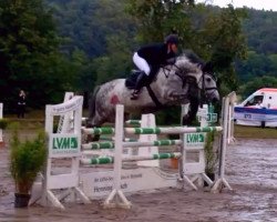 jumper Silver Surfer (Holsteiner, 2008, from Singulord Joter)