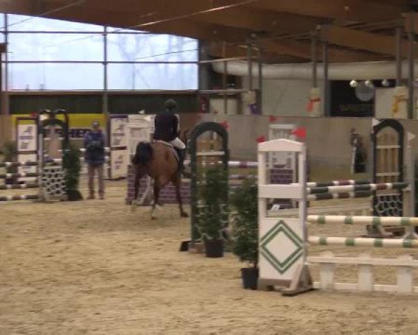 Hallenturnier Velen 2015