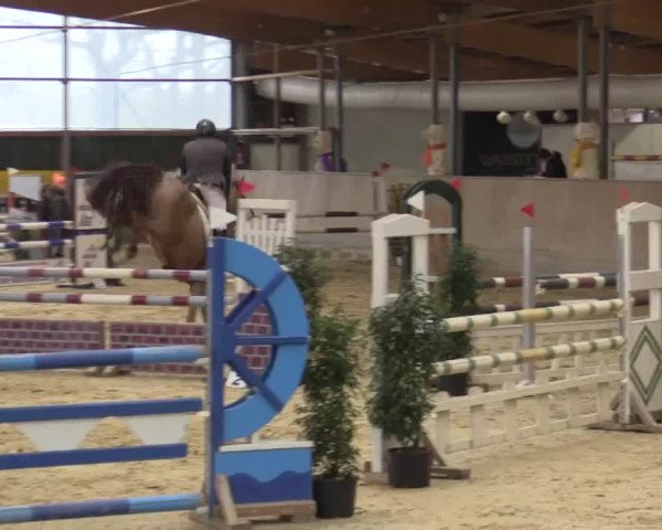 Hallenturnier Velen 2015