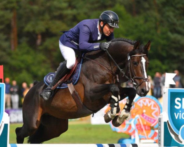 stallion Eureka de Joan (Selle Français, 2014, from Canturo) stallion Eureka de Joan (Selle Français, 2014, from Canturo)