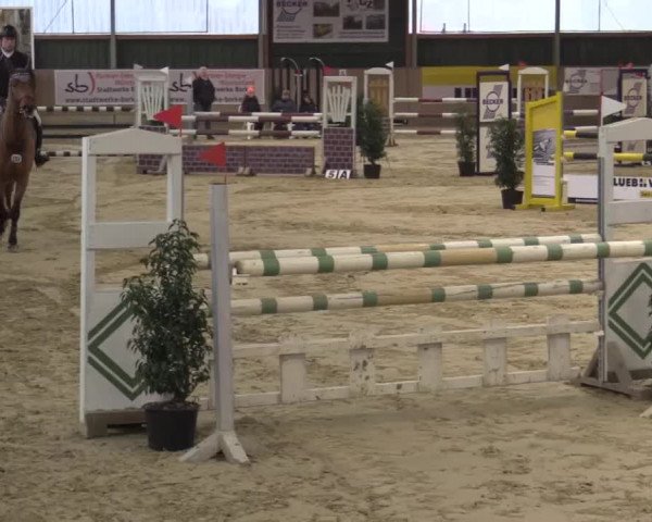 Hallenturnier Velen 2015
