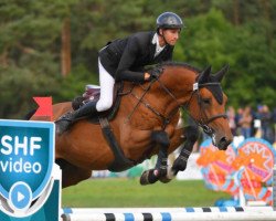 stallion Eldorado Semilly (Selle Français, 2014, from Numero Uno)