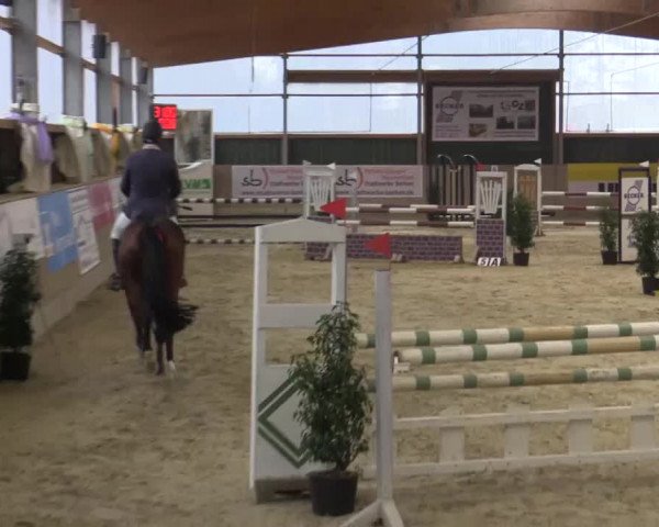 Hallenturnier Velen 2015