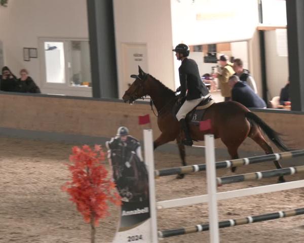 Ridturnering Borken (Hessen) 2026