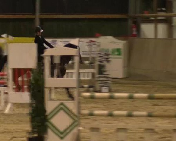 Hallenturnier Velen 2015