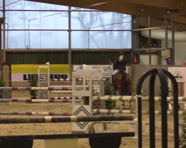 Hallenturnier Velen 2015