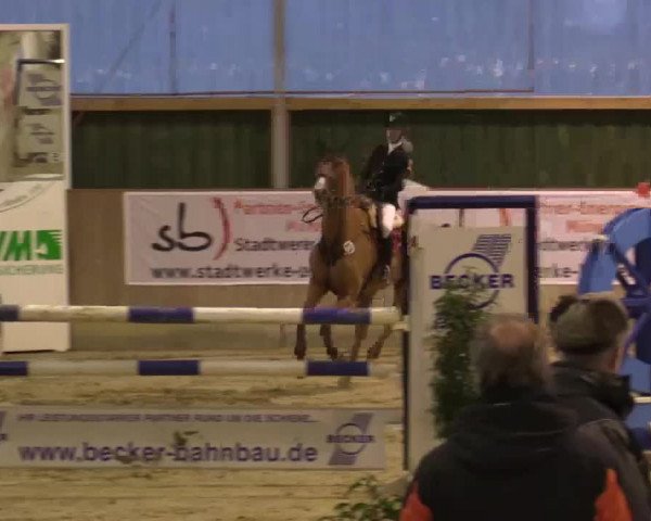 Hallenturnier Velen 2015
