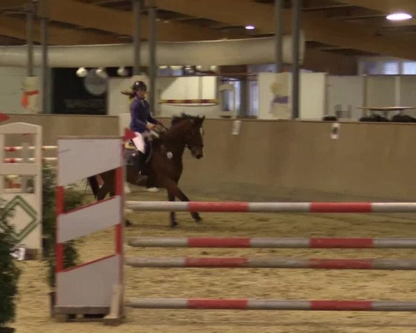 Hallenturnier Velen 2015