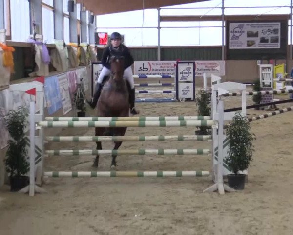 Hallenturnier Velen 2015
