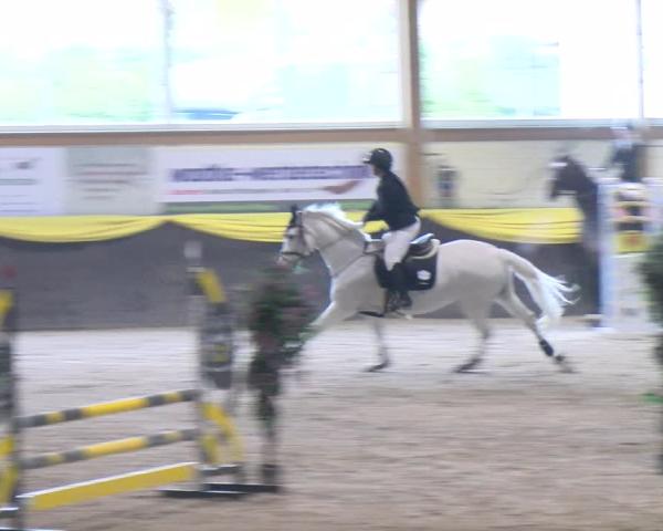 Equestrian Show Sauldorf-Boll 2026