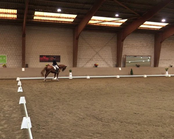 Reitturnier Kamen 2021