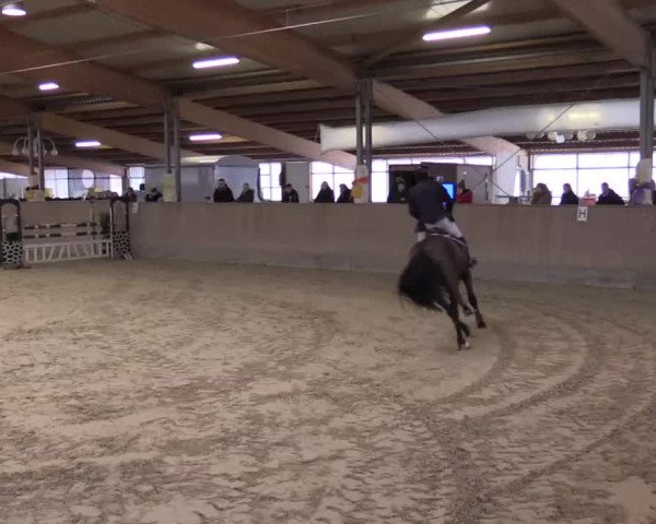 Hallenturnier Velen 2015