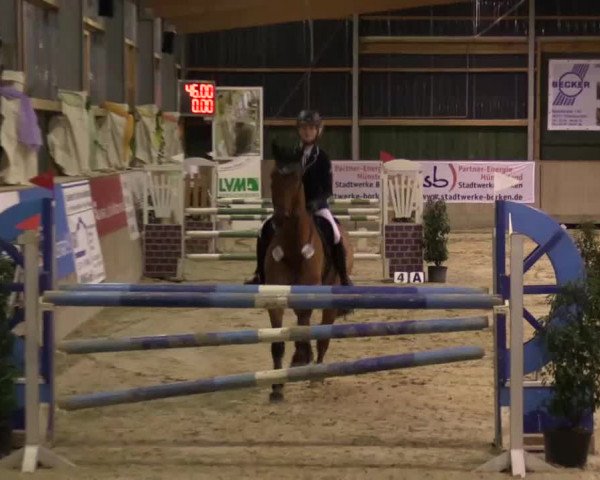 Hallenturnier Velen 2015