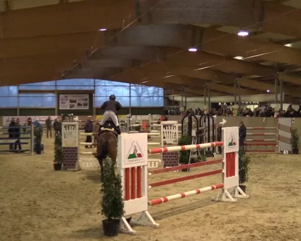 Hallenturnier Velen 2015