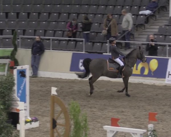 VER-Dinale 2015