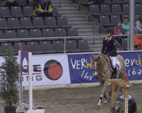 VER-Dinale 2015
