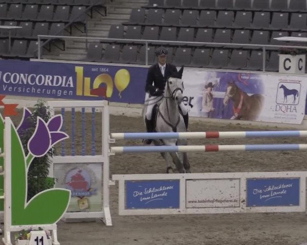 VER-Dinale 2015