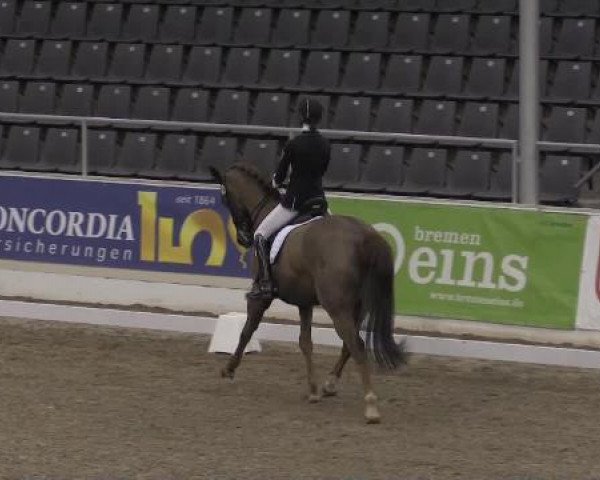 VER-Dinale 2015