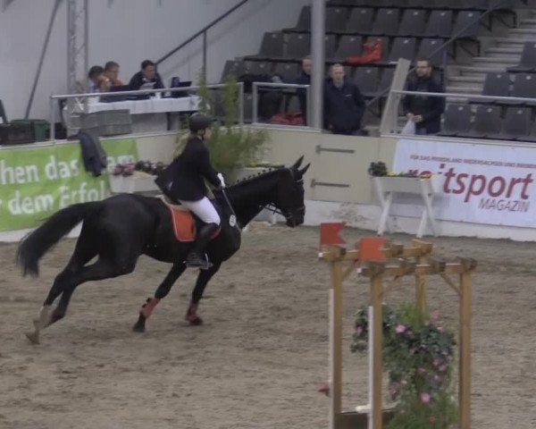 VER-Dinale 2015