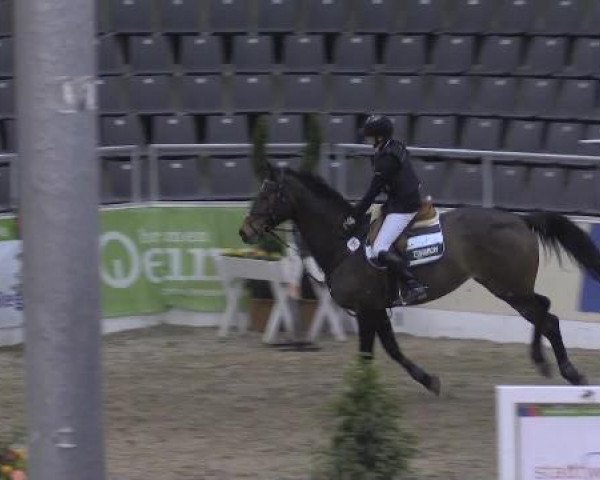 VER-Dinale 2015