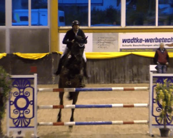 Reitturnier Sauldorf-Boll 2026