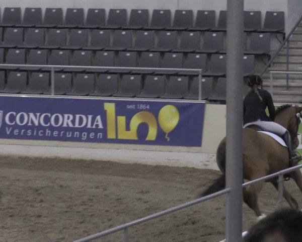 VER-Dinale 2015