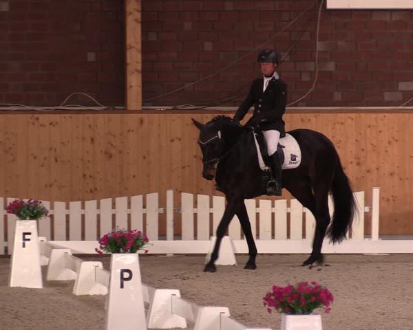 Equestrian Show Hohenkirchen-Hohen Wieschendorf 2026