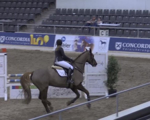 VER-Dinale 2015
