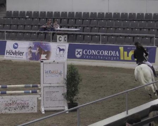 VER-Dinale 2015