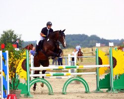jumper Hummer Musterd (KWPN (Royal Dutch Sporthorse), 2012, from Spartacus TN)