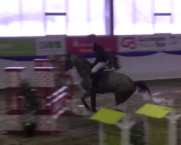 Hallenspringturnier in Münster - Albachten 2015
