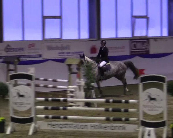 Hallenspringturnier in Münster - Albachten 2015
